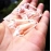 Top Quality 10pcs Clear Crystal Icicle U-drops Chandelier Prisms Glass Lighting Parts (Free Jump Rings) 38mm Curtain Accessories